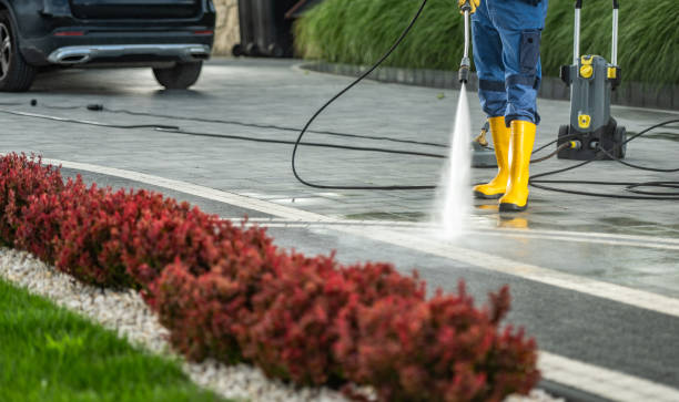 Best Dumpster Area Cleaning  in Shoh, IL